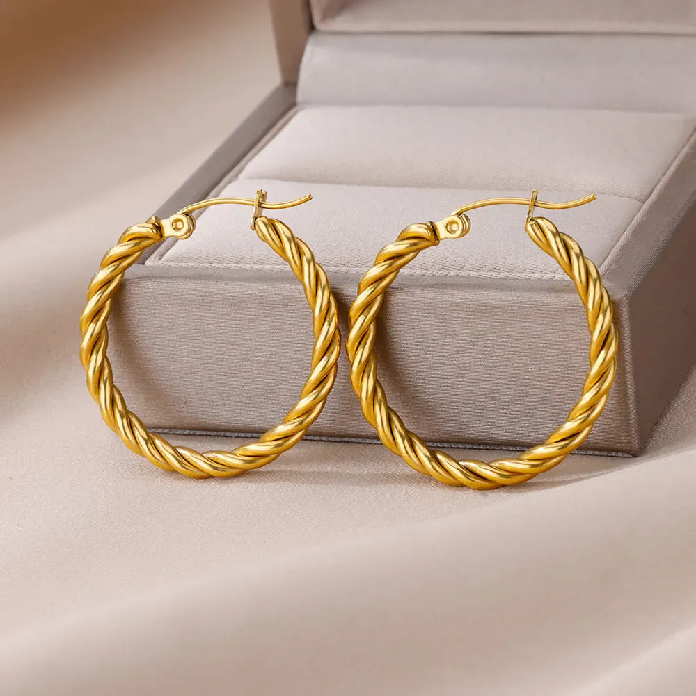 Vintage Round Twisted Earrings For Women Girls Stainless Steel Gold Color Hoop Earrings Punk Luxury Jewelry pendientes mujer